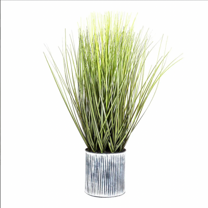 Grass In Pot 64cm